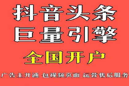 竞价托管服务对比：不同平台的优劣分析
